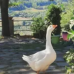 Apartment Borgo Francia *