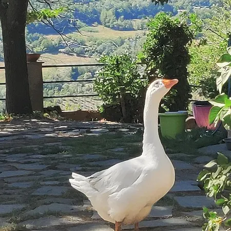 Lägenhet Borgo Francia *