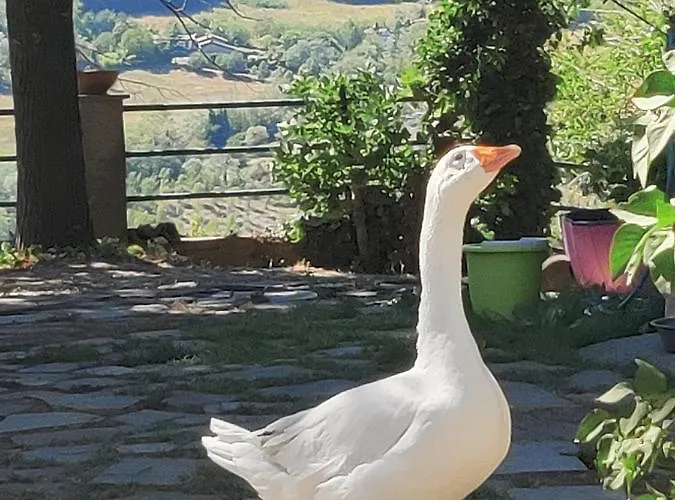 Διαμέρισμα Borgo Francia *
